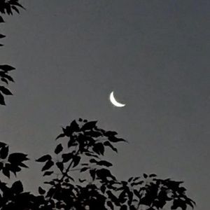 Meet your Posher, Ericka